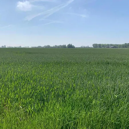 Appartamento In Near The Nieuwpoort