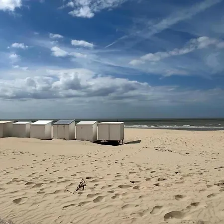 Appartamento In Near The *