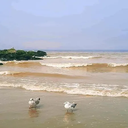 Appartamento In Near The Nieuwpoort