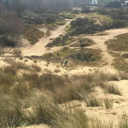 In Near The Nieuwpoort